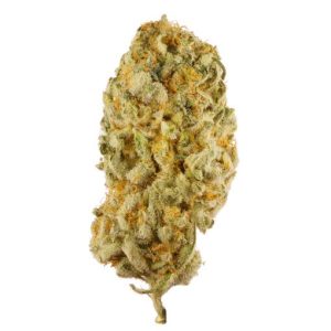 BUY SOUR DIESEL STRAIN, SOUR DIESEL STRAIN, GET SOUR DIESEL STRAIN, ORDER SOUR DIESEL STRAIN, PURCHASE SOUR DIESEL STRAIN