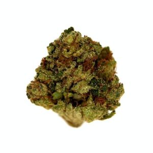 BUY PLATINUM OG STRAIN AUSTRALIA, PLATINUM OG STRAIN, GET PLATINUM OG STRAIN, ORDER PLATINUM OG STRAIN, PURCHASE PLATINUM OG STRAIN