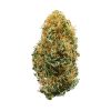 BUY WHITE WIDOW STRAIN, WHITE WIDOW STRAIN, GET WHITE WIDOW STRAIN, ORDER WHITE WIDOW STRAIN, PURCHASE WHITE WIDOW STRAIN